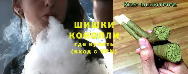 индика Балабаново