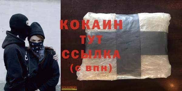 индика Балабаново