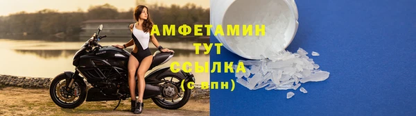 индика Балабаново