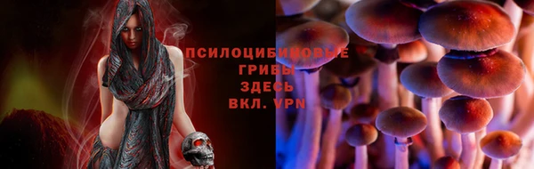 mdpv Балахна