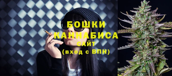 индика Балабаново