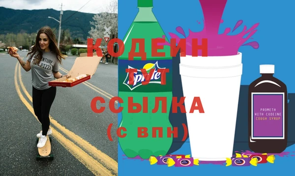 индика Балабаново