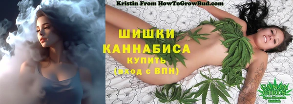 индика Балабаново