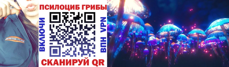 Купить где  Чайковский  Галлюциногенные грибы GOLDEN TEACHER 